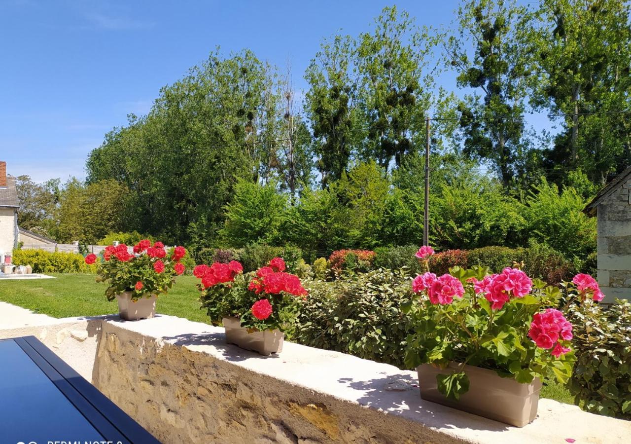 Sur La Route Des Chateaux Le Controis-en-Sologne Buitenkant foto